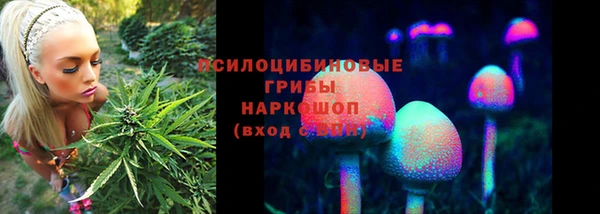 спиды Горняк