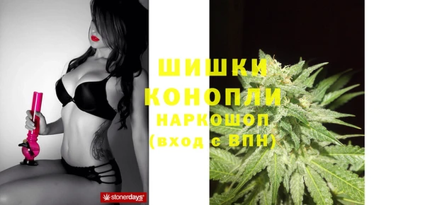 спиды Горняк