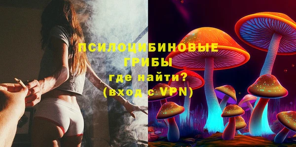 бошки Горнозаводск