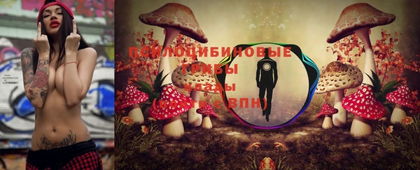 спиды Горняк