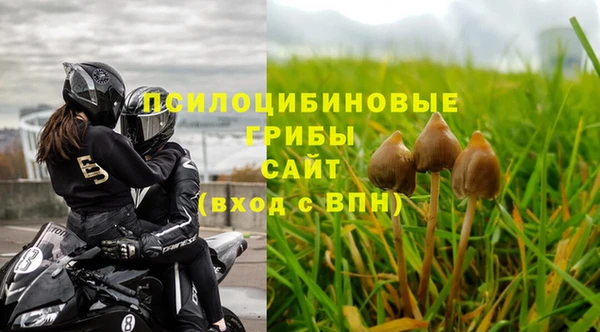 бошки Горнозаводск