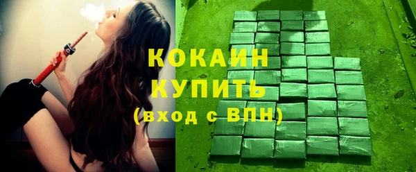 крисы Вязьма