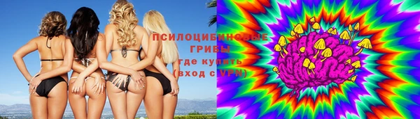 бошки Горнозаводск
