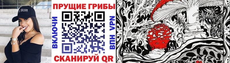 Псилоцибиновые грибы Magic Shrooms  купить  цена  Каменск-Уральский 