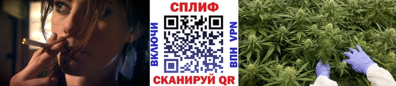 сколько стоит  Каменск-Уральский  Бошки марихуана семена 
